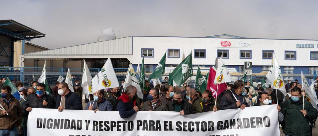 Protesta en contra del precio de la leche en Zamora. | J. L. F.