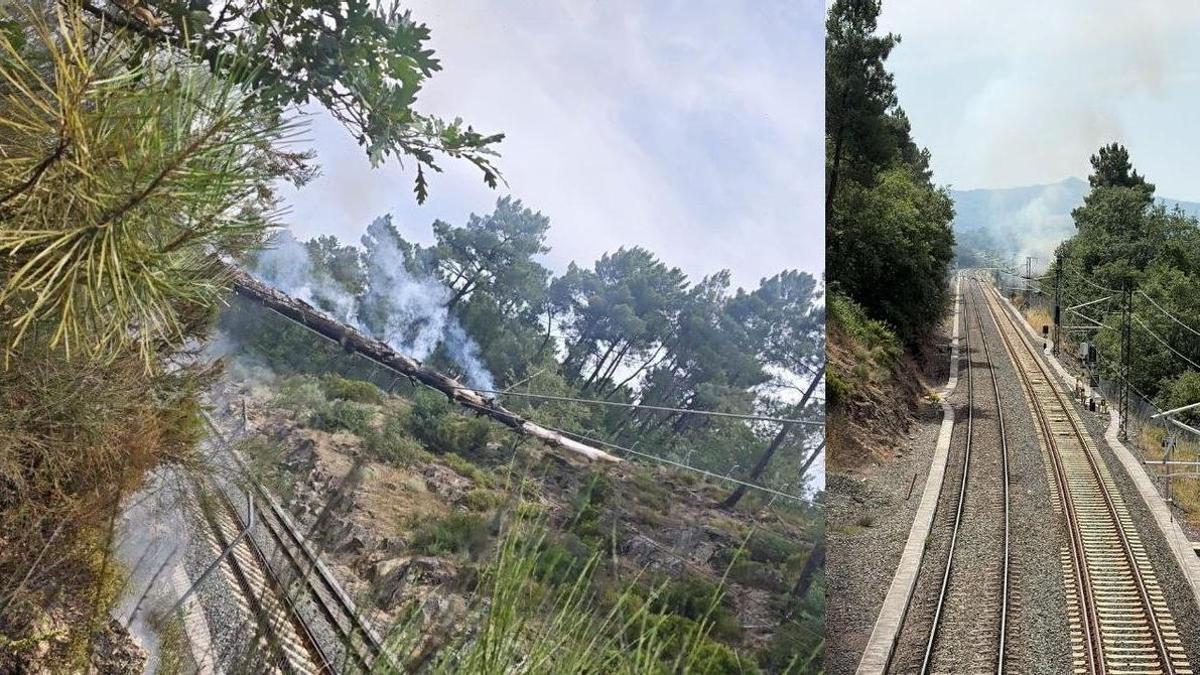 Montaje con el árbol caído sobre la línea del ferrocarril en Ourense