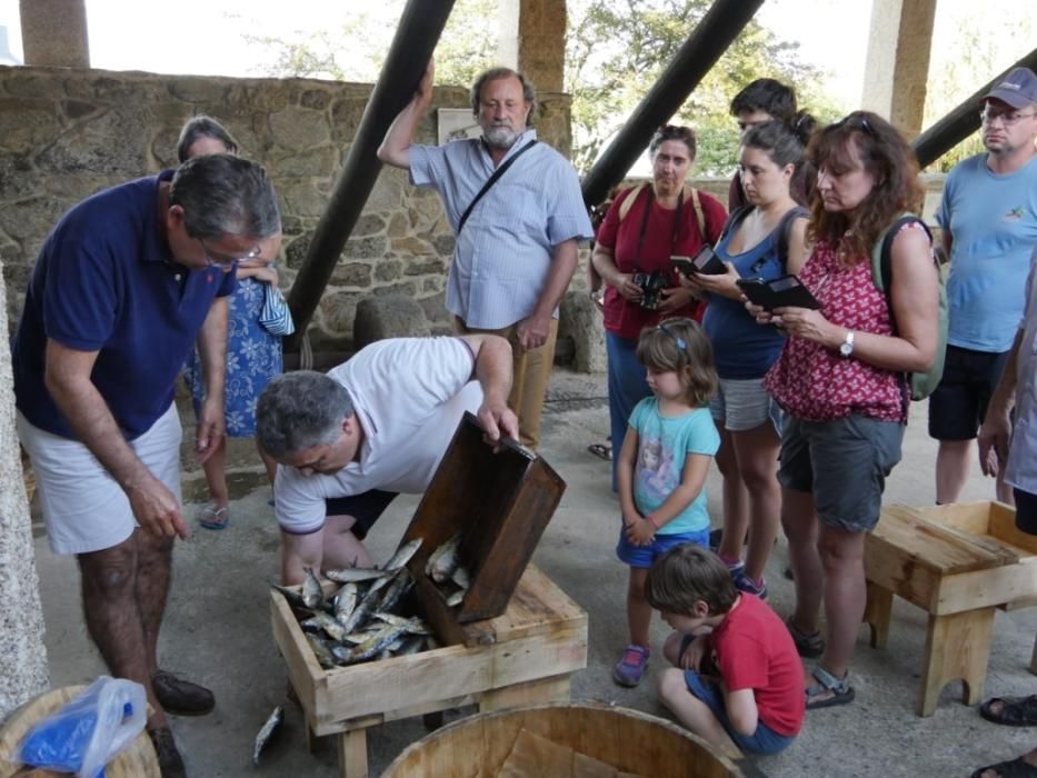 El Museo de la Salazón recibe las rutas de la Diputación y acoge una degustación de sardinas