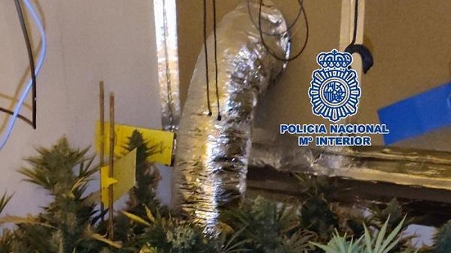 La Policía Nacional desarticula dos puntos de venta de droga en Málaga