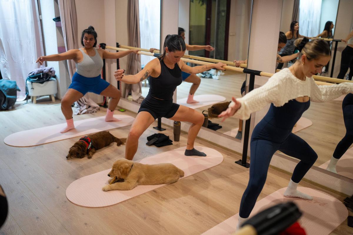 Barcelona 16/02/2026. Sociedad. Apertura de Élevé Barré Studio, un nuevo espacio pet friendly donde se practica fitness de barre acompañado de perros, combinando ejercicio y bienestar animal. Foto: Zowy Voeten / El Periódico.