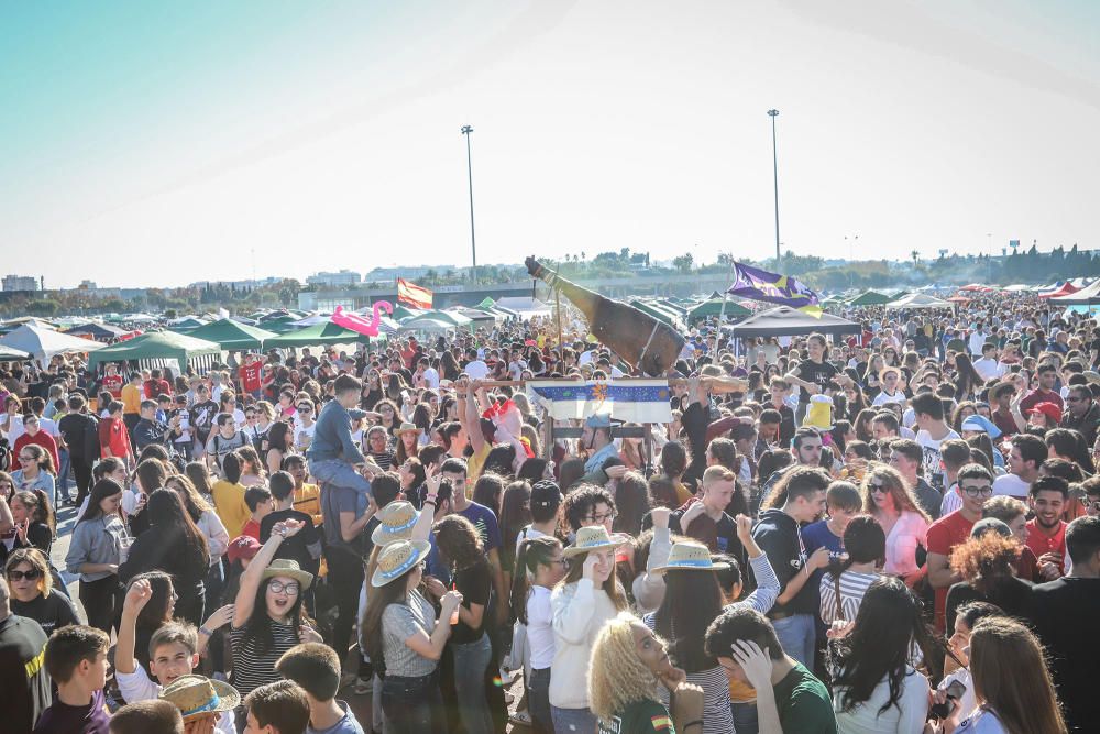 Miles de vecinos de Torrevieja disfrutan del Día de las Paellas en el recinto ferial con motivo de las fiestas patronales de La Purísima2018