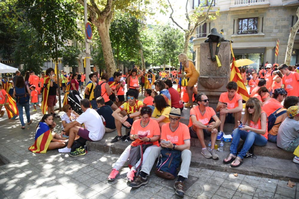 La Diada 2018, en imatges