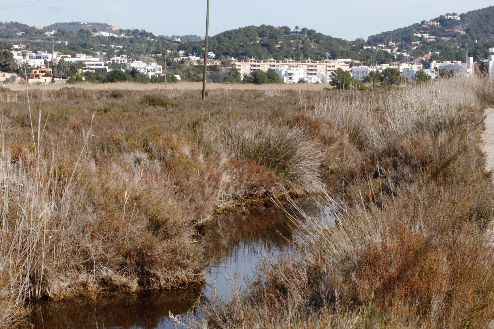 La gestión y las inversiones en ses Feixes de Ibiza siguen paradas más de un año después