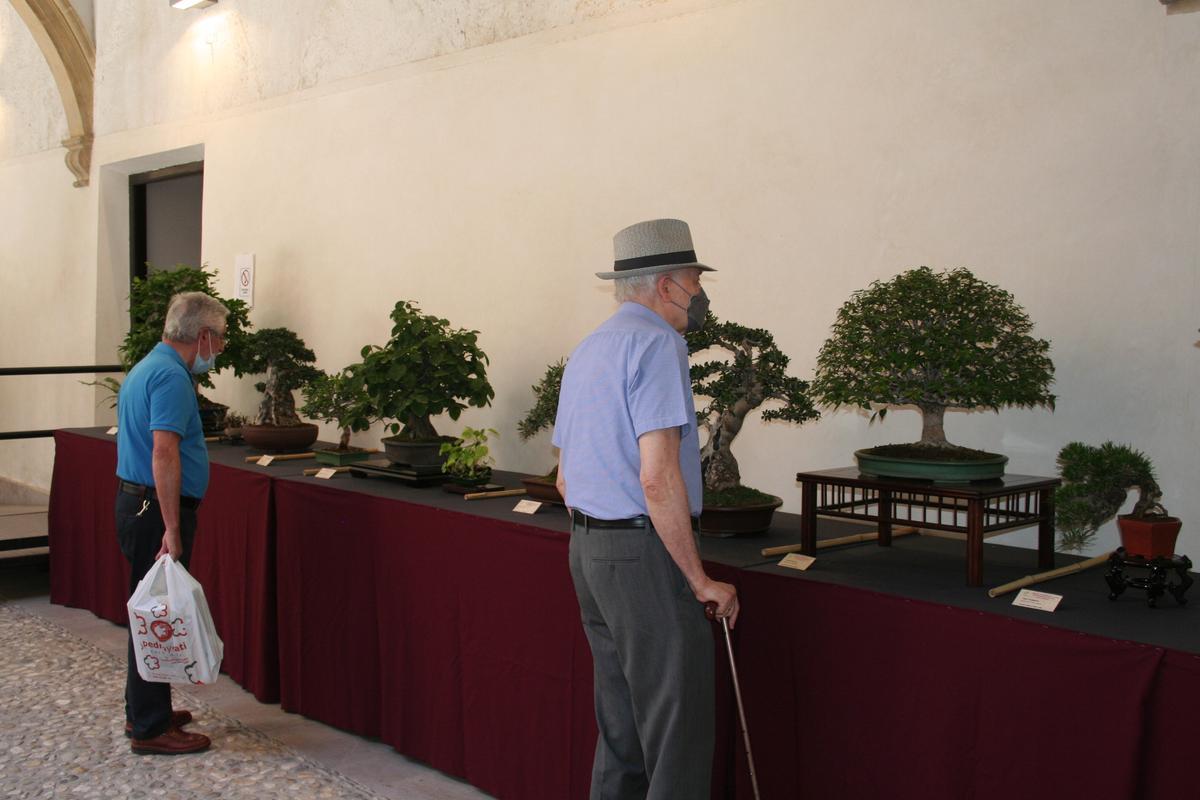 Las visitas no han cesado a las exposiciones que permanecerá abierta hasta este domingo.