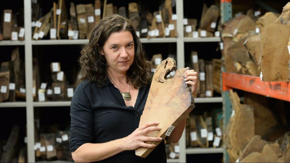 Valerie Trouet: «El canvi climàtic ja es veu als anells dels arbres»