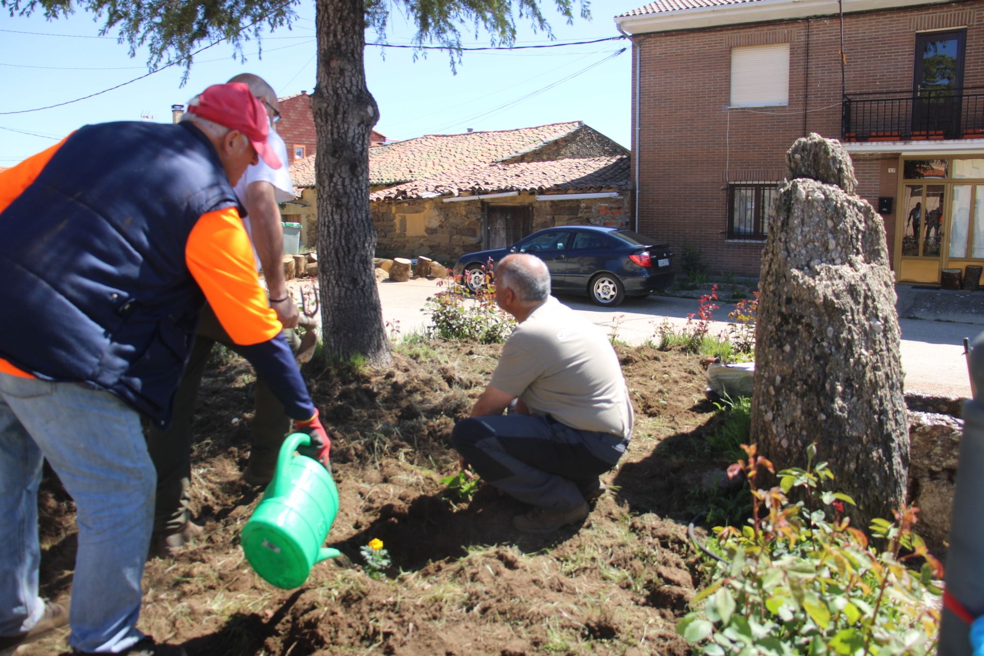 Los voluntarios cervatos arreglan los espacios verdes de la villa