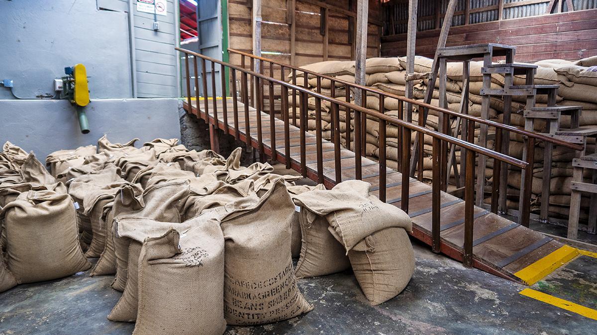 La finca Doka permite descubrir el proceso de elaboración del café costarricense.