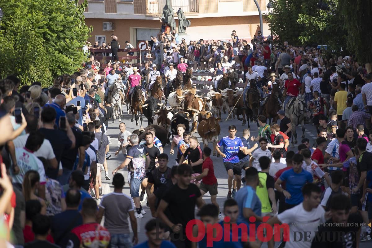 Quinto encierro de las Fiestas de Moratalla