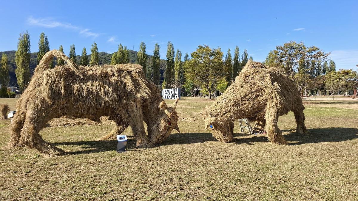 Esculturas de paja fotografiadas por Pichi.