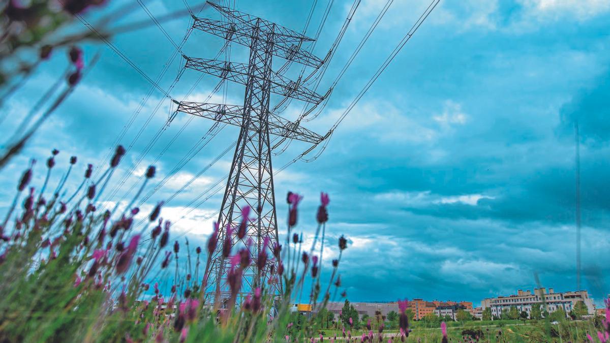 El camino hacia el uso de energías cada vez más respetuosas con el entorno natural ofrece nuevas oportunidades de crecimiento a las empresas.