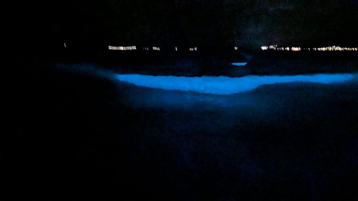El fenómeno bioluminiscente del mar de ardora se dejó ver en Carnota la noche de este jueves