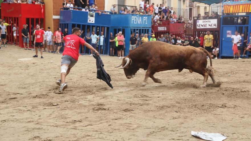 Nueva jornada taurina en l&#039;Alcora para encarar la recta final de fiestas