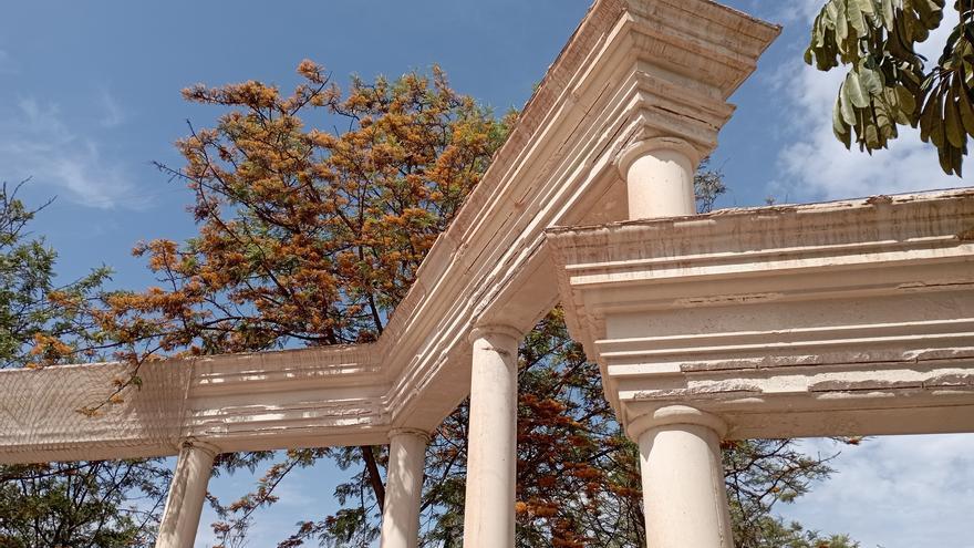 Las columnas imposibles del Parque Huelin y las grevilleas en flor