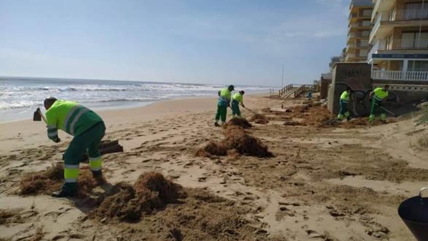 Los operarios de Urbaser, trabajando ayer en la playa de Arenales del Sol.