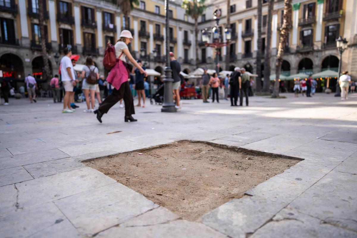 Turistas paseando al lado de los agujeros vacíos en la plaza Real donde había ocho palmeras que se talaron en 2023