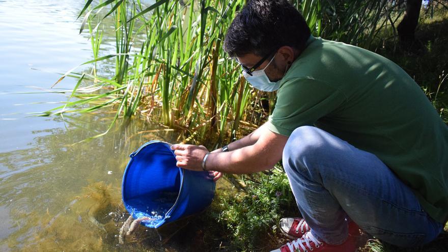 Los pescadores indultan a los peces de Mina Mercedes