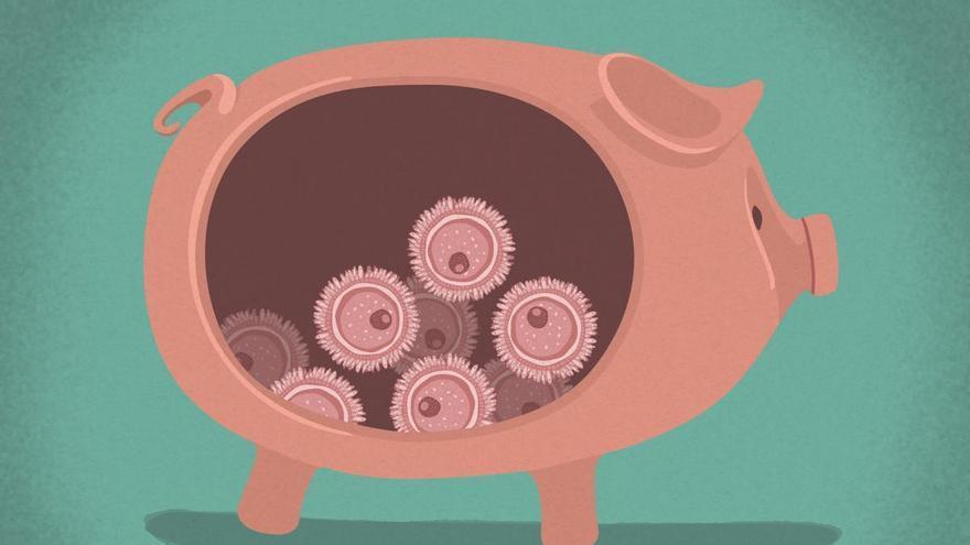 Ovules congelés : les footballeuses jouent les prolongations de la maternité