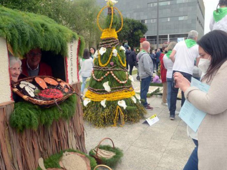 Algunos de los &quot;maios&quot; presentados en Vilagarcía.