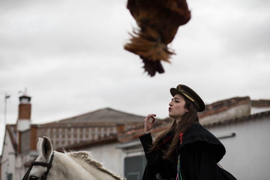 Carrera del Gallo en El Pego