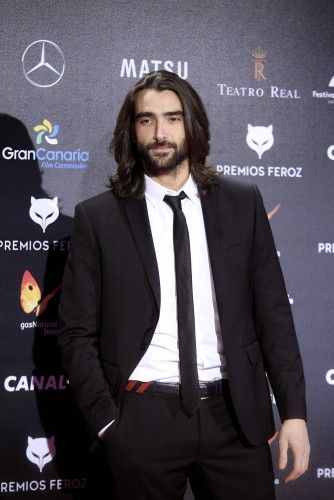 PREMIOS FEROZ