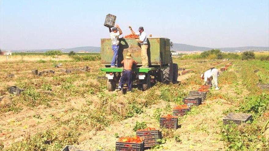 Casi 200 productores se inscriben en el registro de venta a domicilio