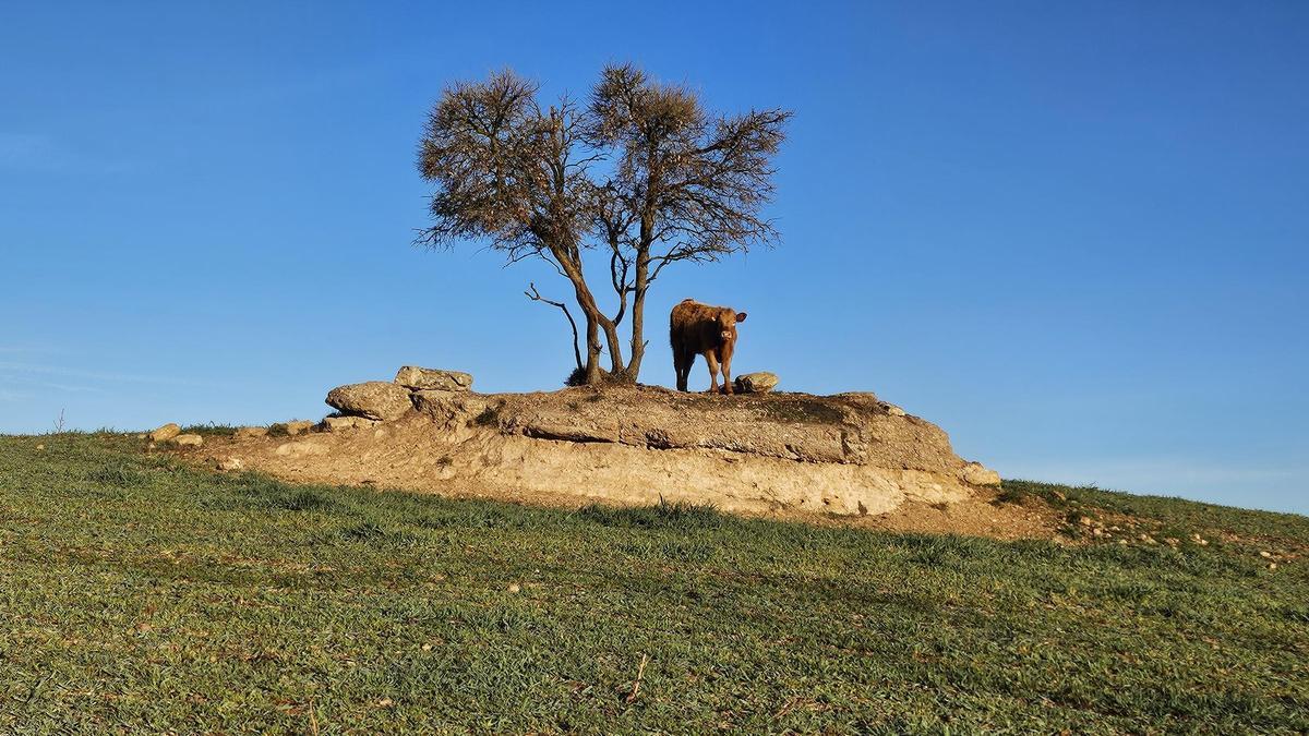 Observant la sortida de sol, Castellar de la Ribera