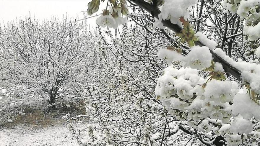 La nieve regresa en primavera a Extremadura y pilla a los árboles en la floración