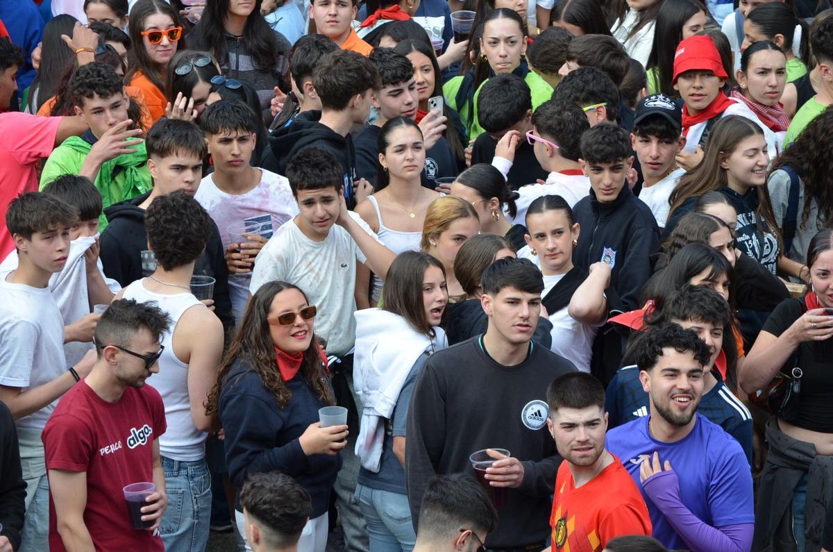 Búscate en la petición del Toro Enmaromado de Benavente 2026