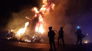 "Permítete llorar": Las recomendaciones de los psicólogos a los afectados por los incendios