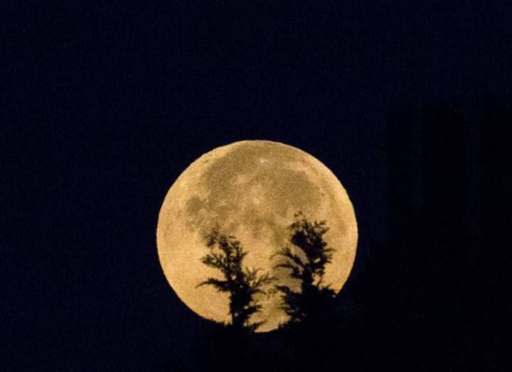 A supermoon appears after a total "supermoon" lunar eclipse in Brussels