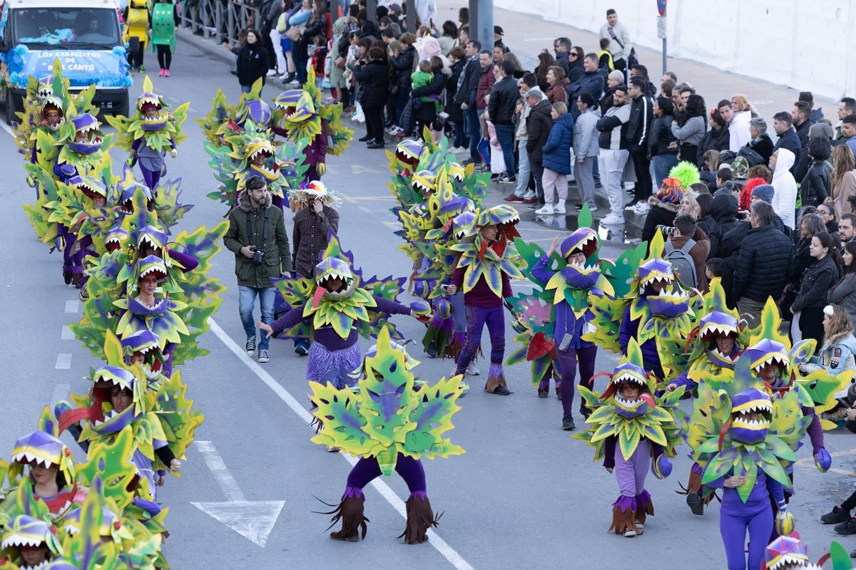 Mira aquí todas las imágenes de la rúa de Carnaval de Ibiza