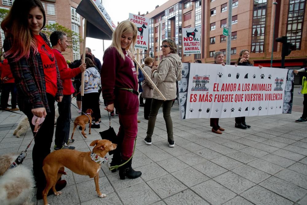 Manifestación contra el maltrato animal