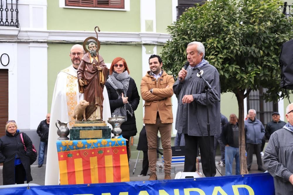 Bendición de animales en Paterna.