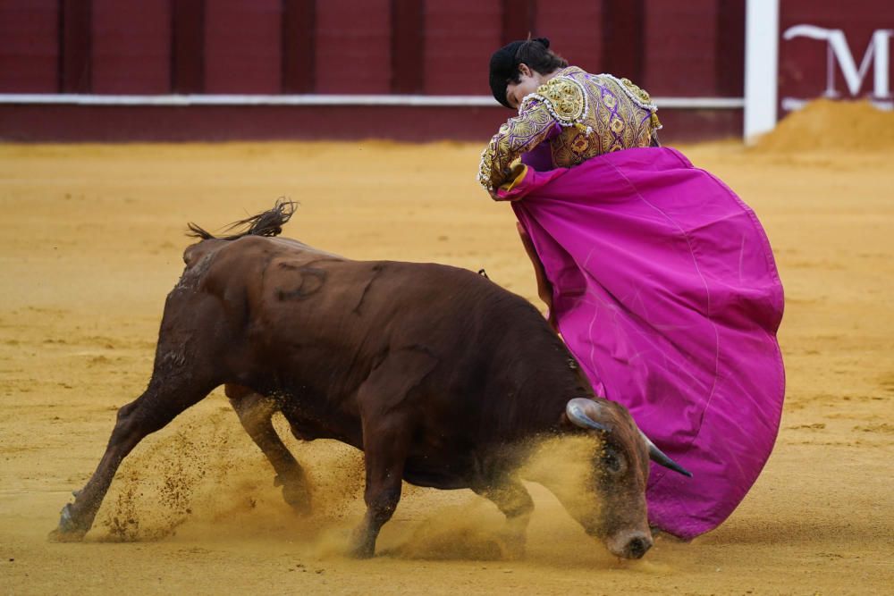 Segunda semifinal del certamen de Escuelas Taurinas de Málaga