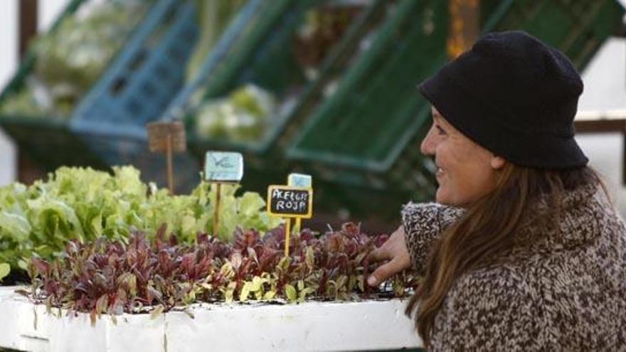 Mercado ecológico con polémica