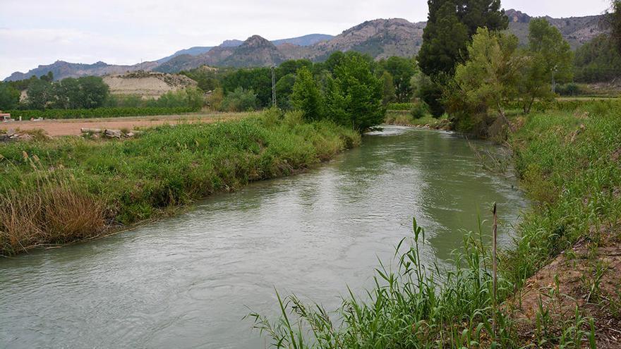 Un nuevo puente sobre el Segura en Cieza aliviará el tráfico