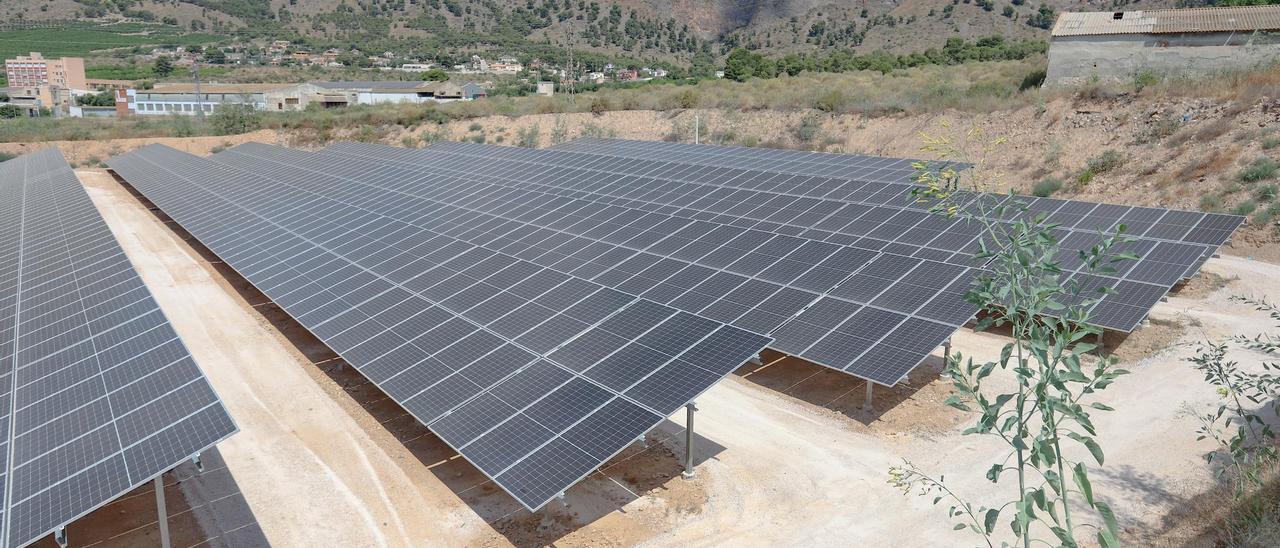 Una planta solar en la provincia