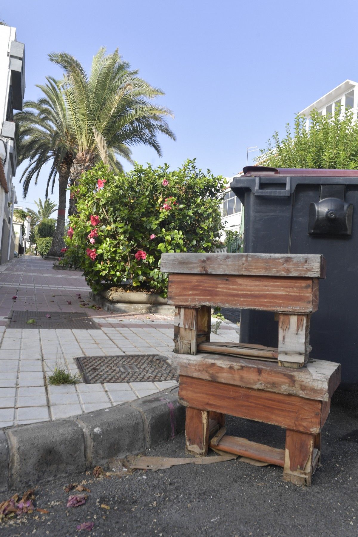 Hierbas en aceras de las calles de Escaleritas