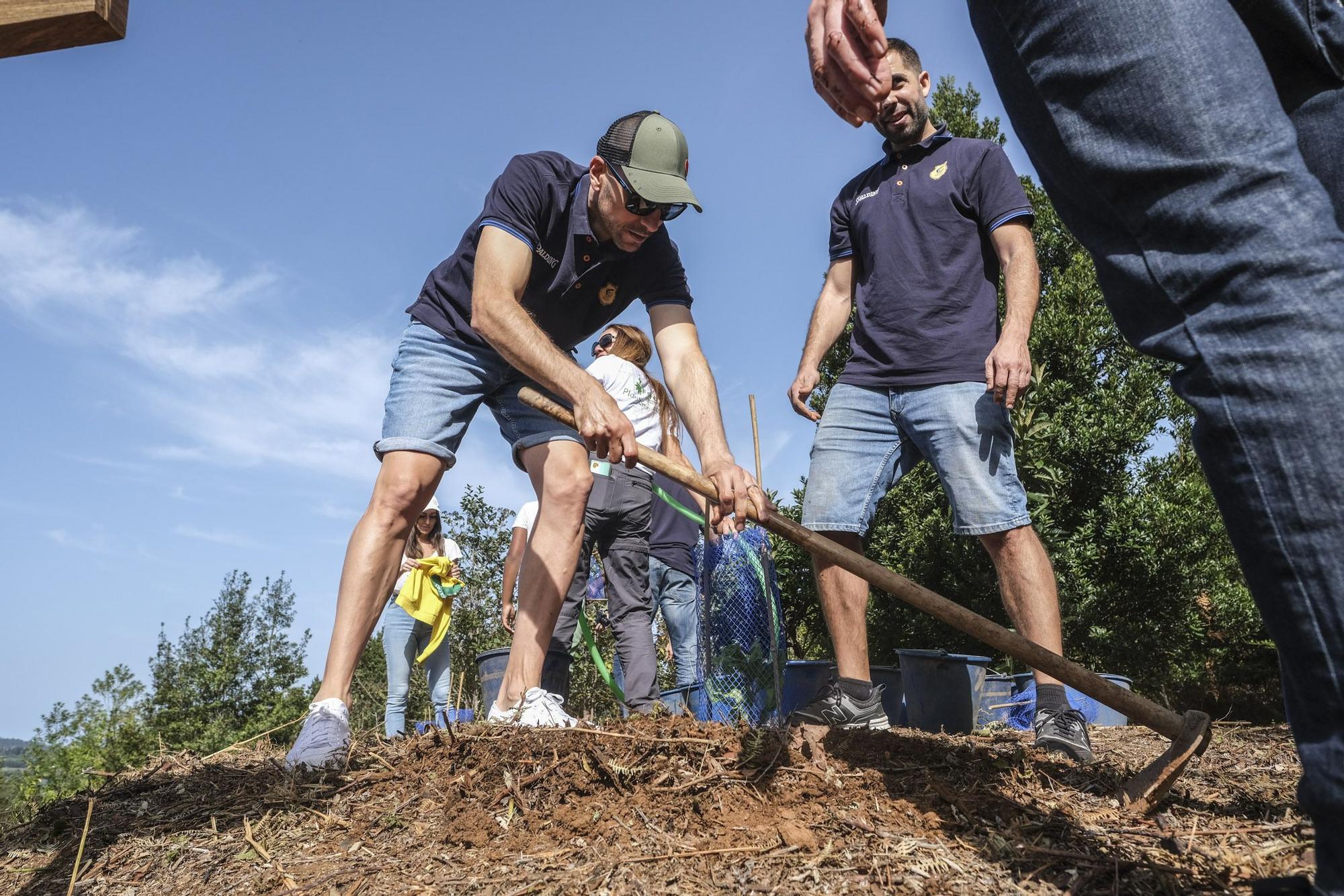 Reforestación 'Compromiso Granca'