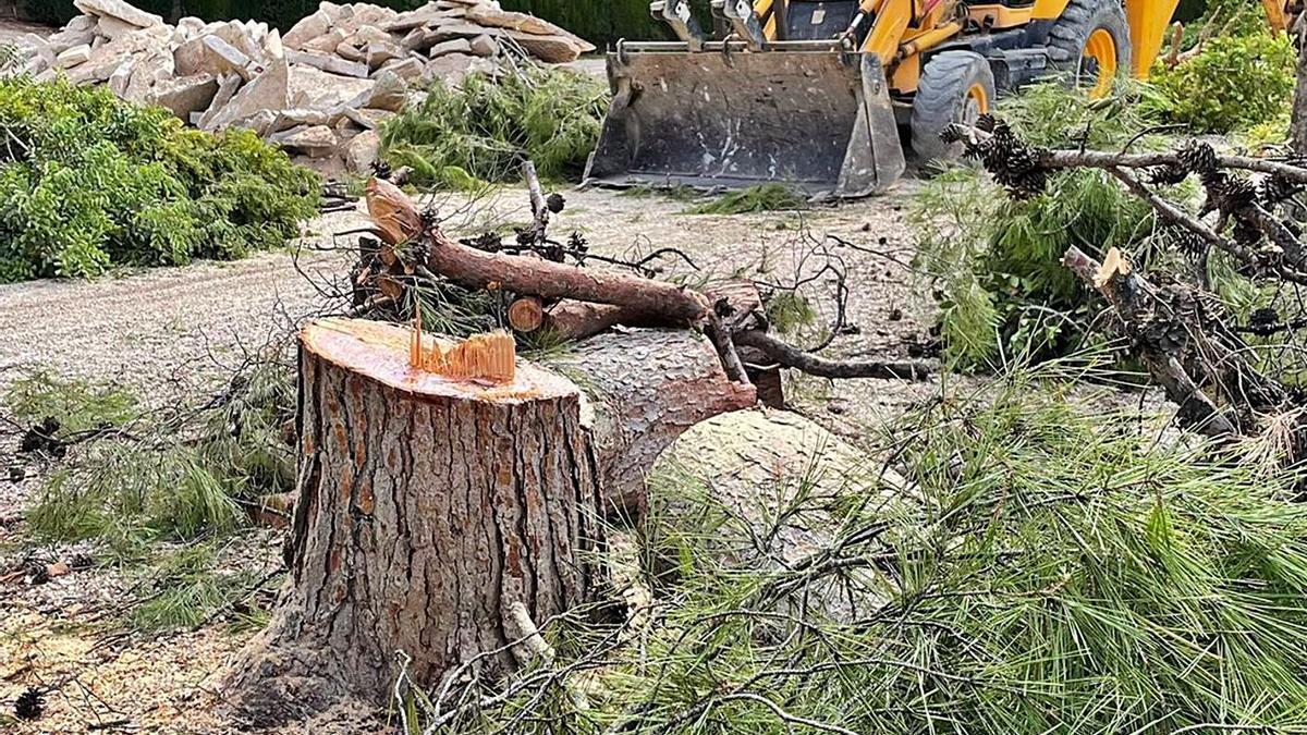 Una reforma con polémica en el Parc Nou