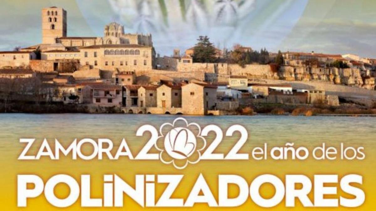 Cartel del programa “Zamora 2022 el año de los polinizadores”. | Cedida