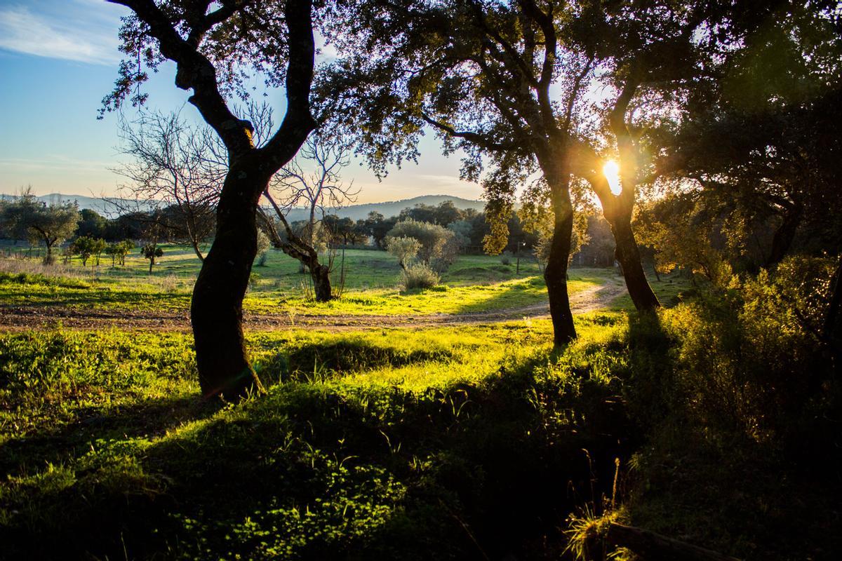 Un pueblo inmerso en pleno Parque Natural Sierra de Aracena y Picos de Aroche.