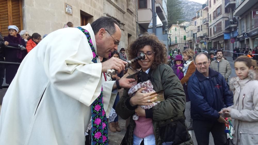 Tiersegnungen Mallorca