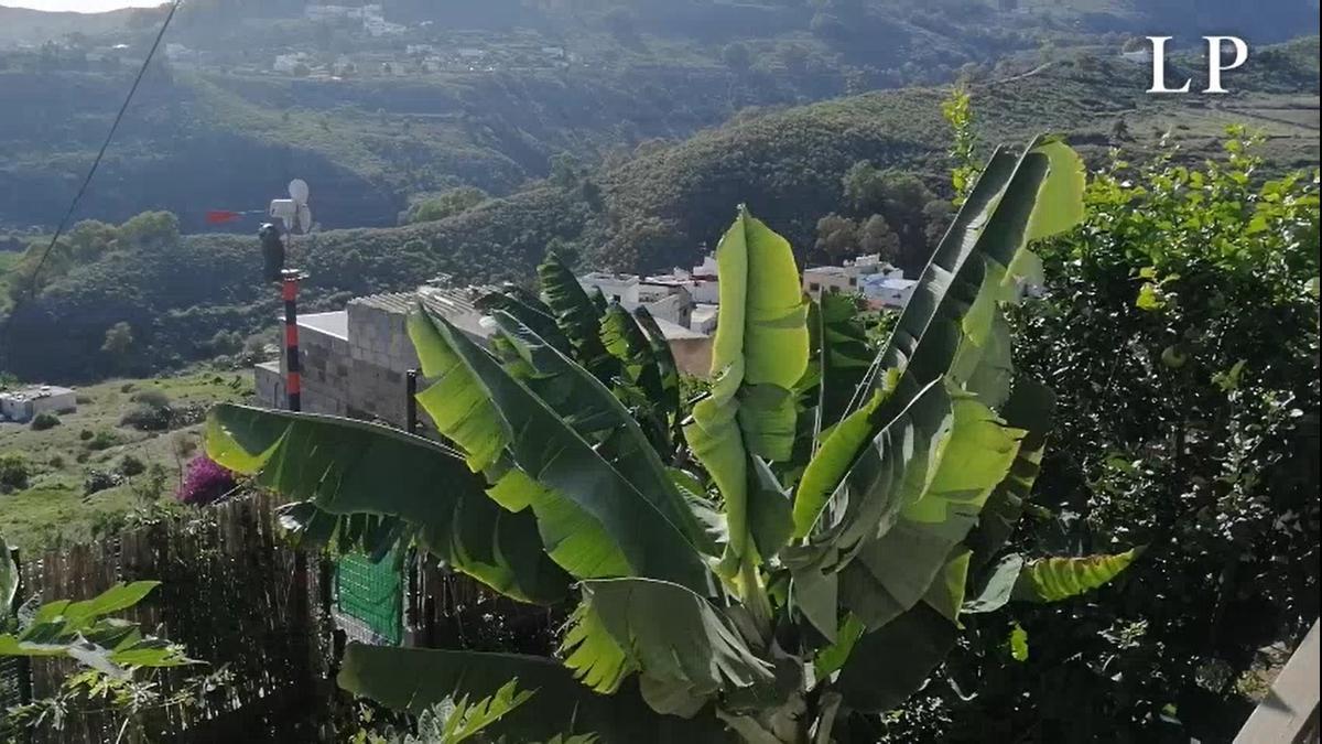 Rachas de viento en Arucas (31/10/2020)