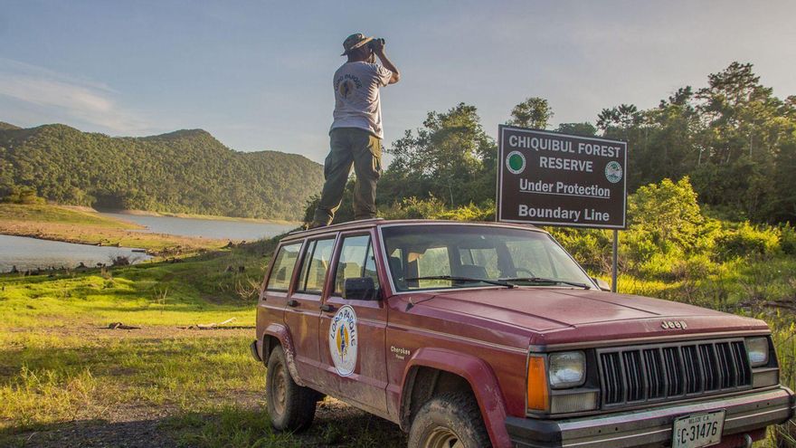 Biólogo haciendo trabajo de campo en uno de los proyectos in situ de Loro Parque Fundación .