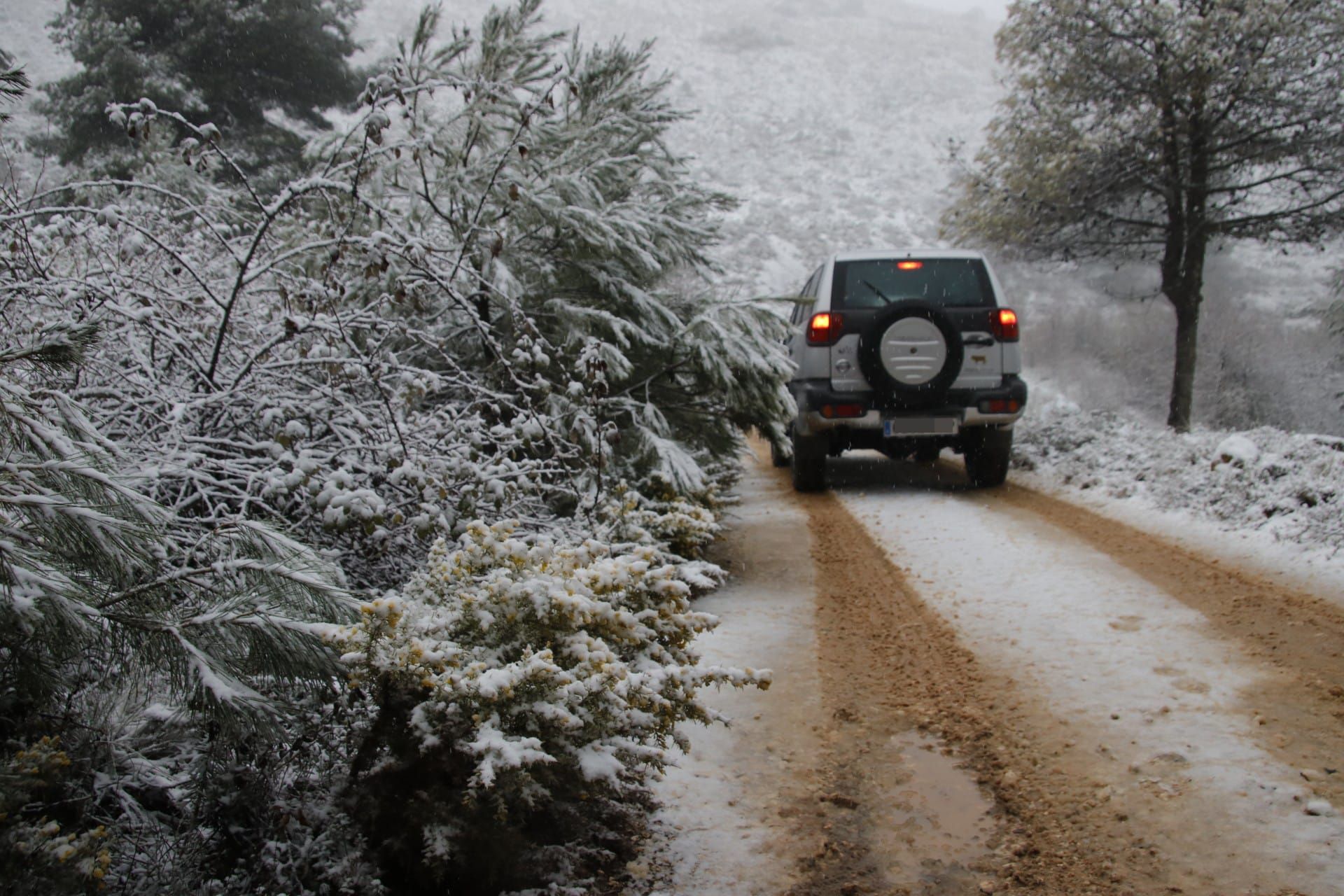 La Font de l'Arbre en Aitana se llena de nieve