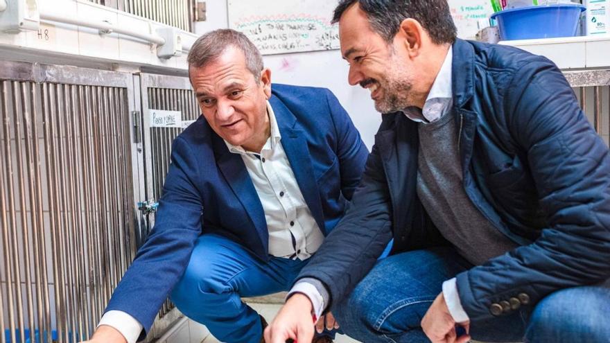 El Cabildo de Tenerife impulsa el centro «Tierra Azul» para centralizar la protección animal en la isla