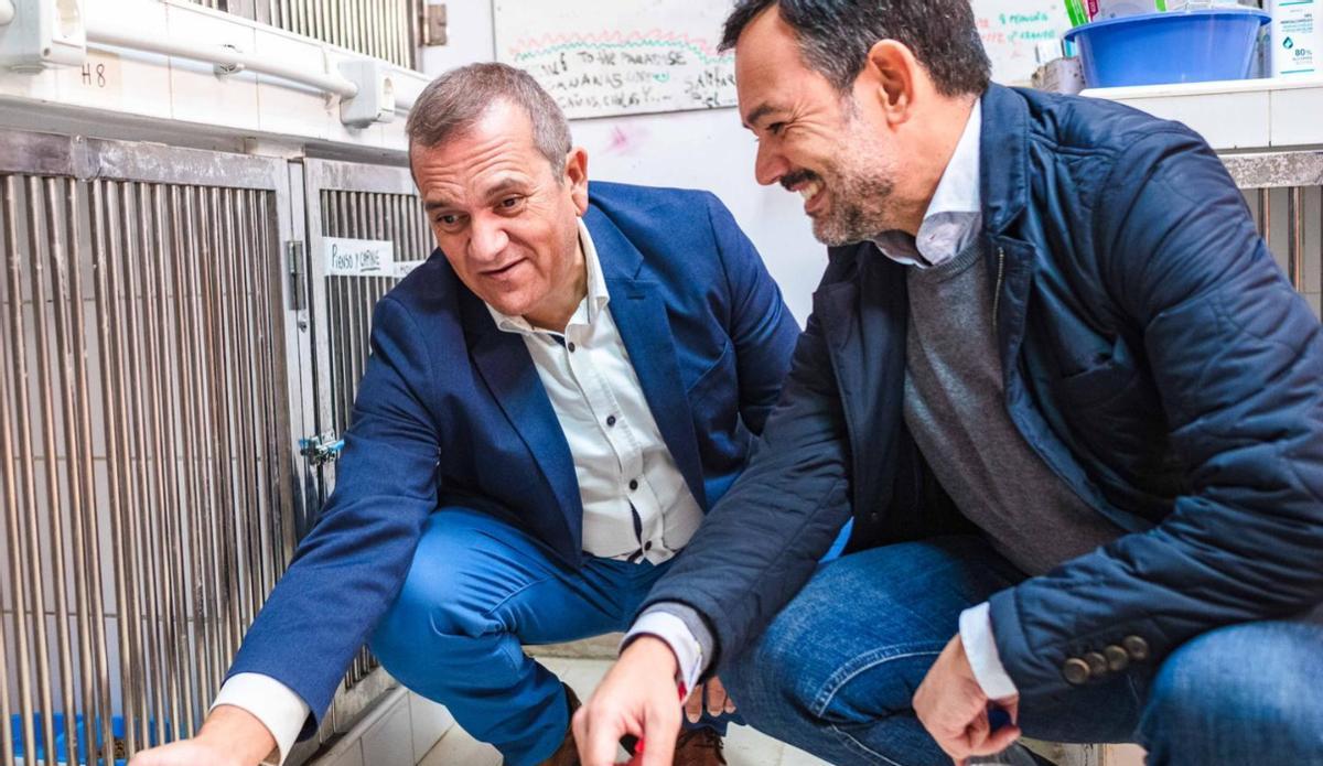 Tierra Azul: la consolidación de la Red Insular de Protección Animal en Tenerife