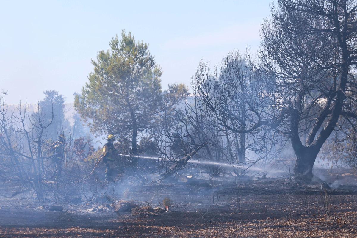 Incendio en Cala de Bou.